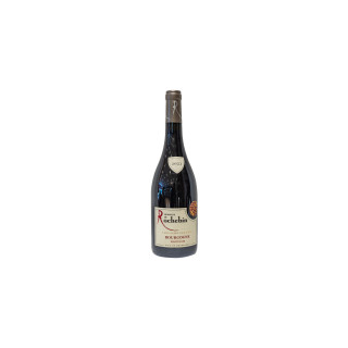 Bourgone Pinot Noir 2023 - DOMAINE DE ROCHEBIN