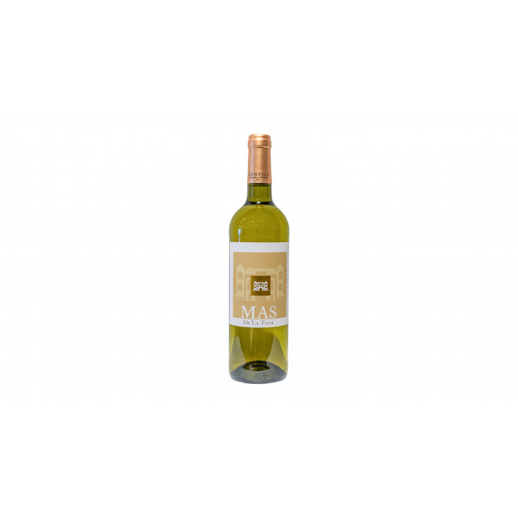 IGP Mas Delatour 2024 - DOMAINE BONFILS